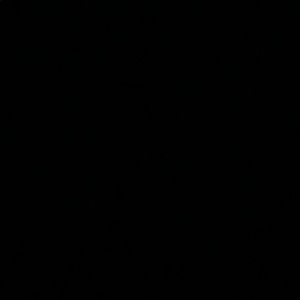 Meet your Posher, Sidney